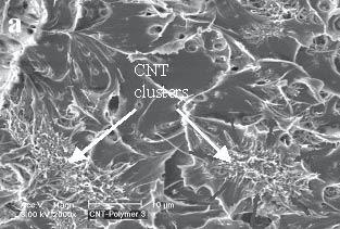 Surface modifications of nanoparticles and nanotubes by plasma polymerization 105 Fig. 12. SEM images showing (a) CNT clusters, and (b) the flat fracture surface of uncoated CNT composite.