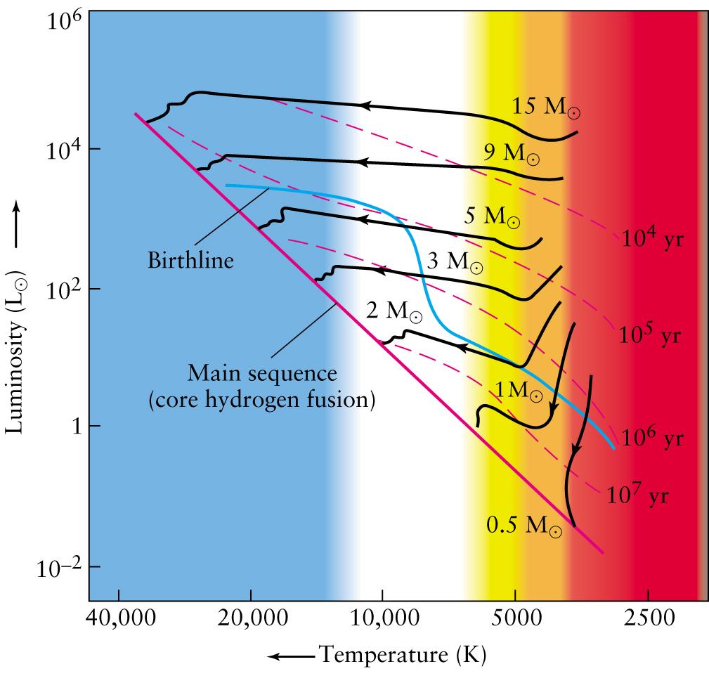 Pre Main-Sequence Evolution Pre Main-Sequence Evolution of a Solar Mass Star Initially, the protostar contracts along the Hayashi track, a vertical line in the Hertzsprung-Russel diagram The Hayashi