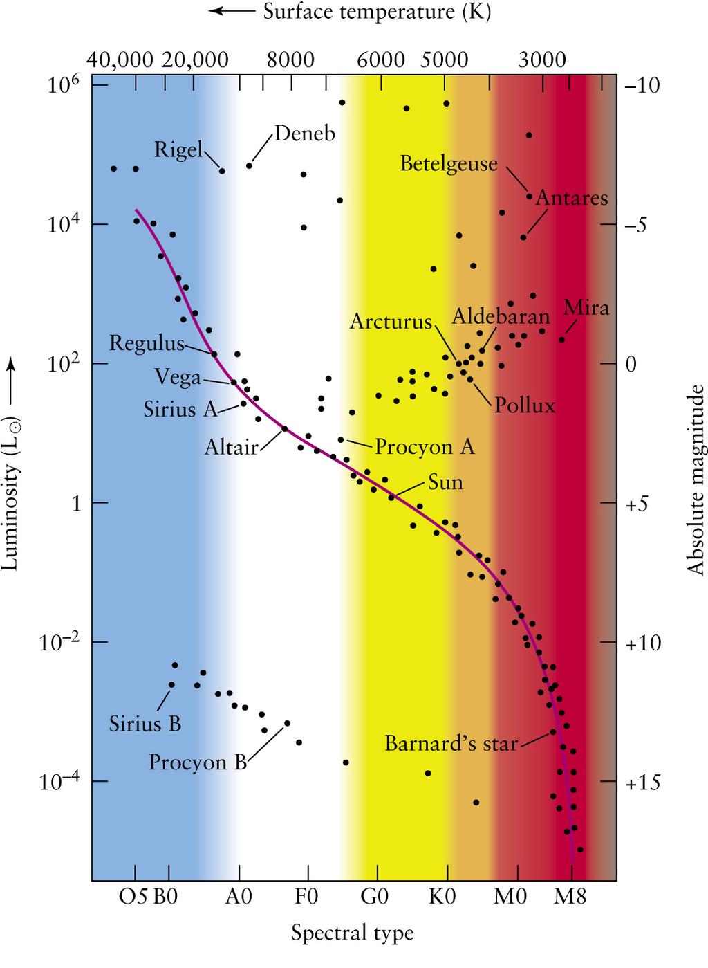 Hertzsprung-Russell Diagram Luminosities of stars are plotted against their spectral types Main-sequence stars fall