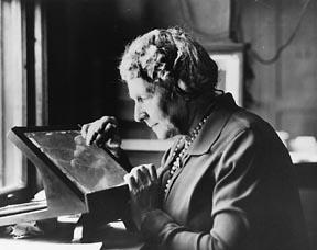 Annie Jump Cannon and the whole