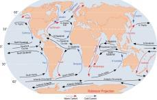 Surface Currents *Coriolis Effect - ocean currents are directed to the right (clockwise) in the northern hemisphere and