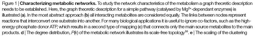 Example of metabolic network: different levels of abstraction NETWORK