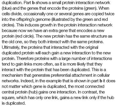 Yeast protein interaction network is a hierarchical scalefree network NETWORK BIOLOGY: UNDERSTANDING THE CELL S FUNCTIONAL ORGANIZATION Albert-László Barabási* & Zoltán N.
