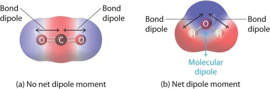 Polarity and egativity polarity is going to be broken down into two concepts: 1. egativity Each electronegative bond must have a Dipole Arrow added to it to show the flow of electrons.
