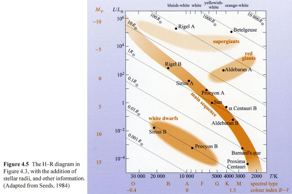 Hertzsprung-Russell diagram in both observational form (Colour vs M V or Spectral Type vs M V )