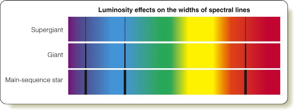 Luminosity Effects on the Width of Spectral Lines Same spectral type, but different luminosity Lower