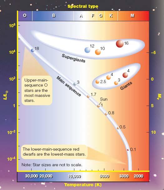 Masses of Stars in the Hertzsprung-Russell Diagram The higher a star s mass, the more luminous (brighter) it is: Masses in units of solar masses L ~ M 3.