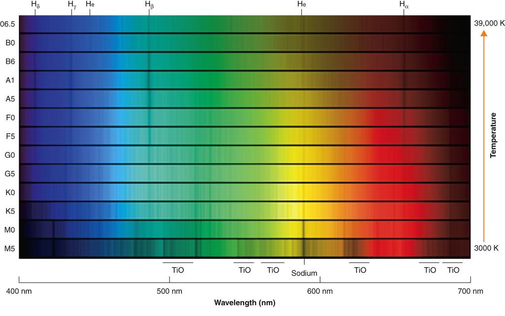 Spectral Classification of Stars Different types of stars show