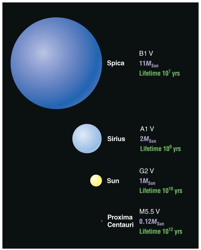 Main-Sequence Star Summary High-Mass Star: High luminosity Short-lived