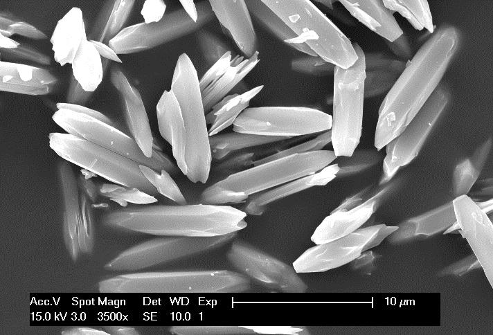 Figure S12. SEM micrograph of CAU-17. Scanning electron microscopy was performed on a Philips XL20 FEG microscope.