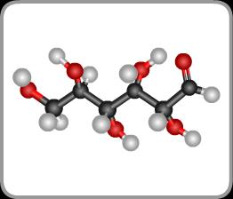 Octane Glucose Nylon Ampicillin Fuel source
