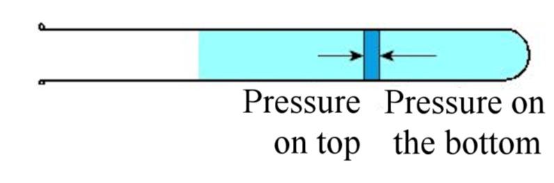 Let s examine the foce on a small slice of wate in the test tube. The pessue foce exeted below the laye is geate than the pessue foce exeted aboe the laye.
