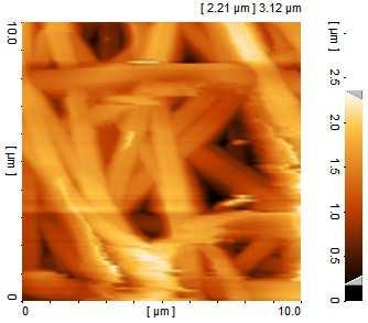 506 D. S. Safanama et al. of the fibers measured (Amount) are much larger than the diameters of the contact area (~5 nm).