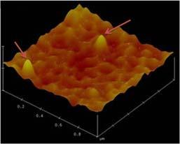 Recent nanofretting experiments using an atomic force microscope (AFM) to rub a Si ball against a Si(100) substrate in vacuum showed that the substrate protrudes out in the rubbed area forming a