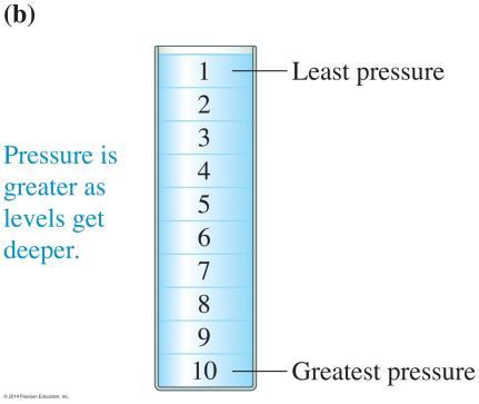 Why does pressure vary at different levels? Why does pressure vary at different levels?