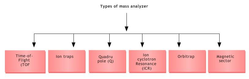 Mass analyzers The mass analyzer resolves the ions produced by the ionization source on the basis of their mass-to-charge ratios.