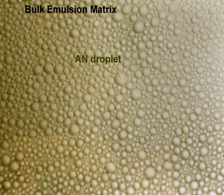 Figure 4. Emulsion as viewed under an optical microscope. Depending on the type of oil used, the emulsion can have different colors. In some instances, a dye may also be added.