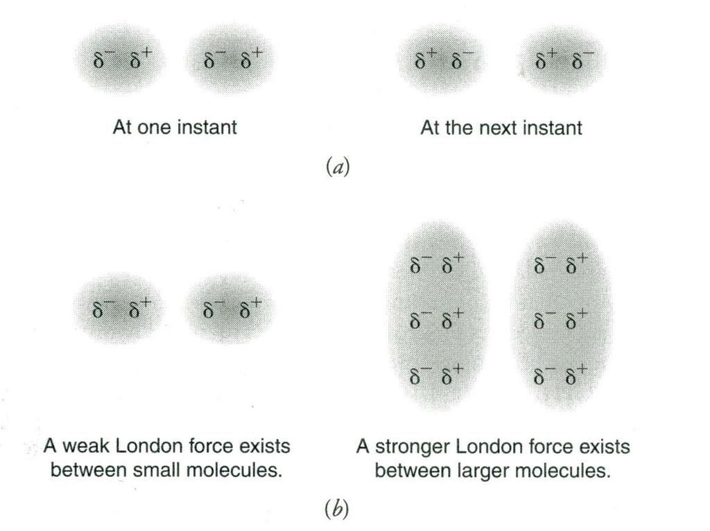 London orces (ydrophobic Interactions) Even though non-polar molecules do not have a permanent dipole moment, they still contain electrons which are in continuous motion.