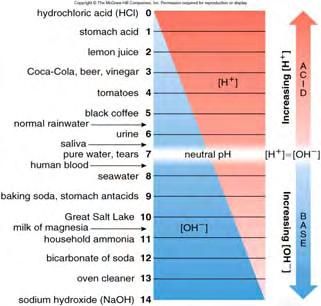 ph scale is logarithmic ea unit reflects a 10-fold change in [H + ] higher ph value = lower [H + ] ph 3 = 10-3 = 0.001 [H + ] ph 9 = 10-9 = 0.