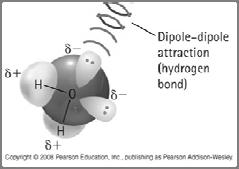 Non polar molecules Water and salt Ions of NaCl dipole of water Ion