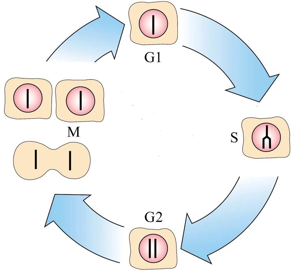 Inverse Problems in Systems Biology 16 Figure 7.
