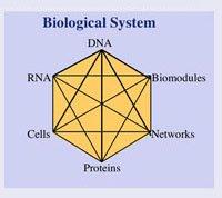The Core Concepts of Systems Biology (i) Living systems are complex at