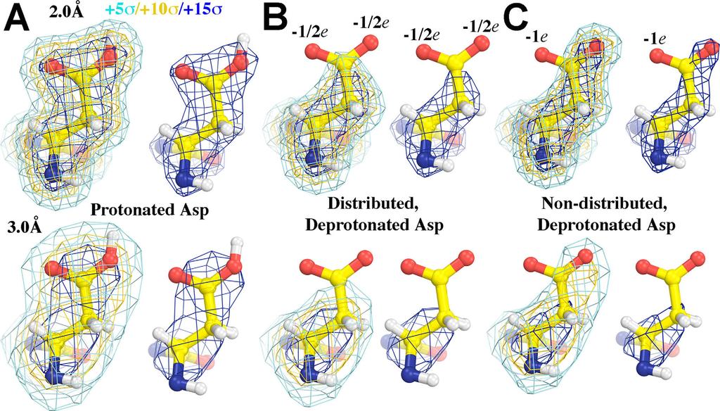 Figure 1. Simulated ESP maps for Asp side chain in protonated state (A), deprotonated-delocalized state (B), and deprotonated-non-delocalized state at 2.0 Å (top) and 3.