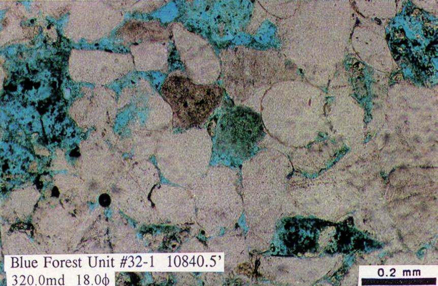 C D C. Precipitation of silica in marine sandstones is controlled in part by the distribution of non-quartz detrital grains.