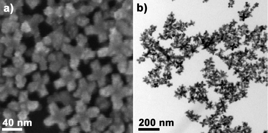 were 1.5 nm and 200 ms per pixel, respectively. The compositions of Au-Pd bimetallic NPs were determined by inductively-coupled plasma-atomic emission spectrometer (ICP-AES, OPTIMA 3300DV).