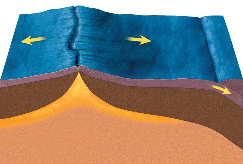 What are the three types of plate boundaries?