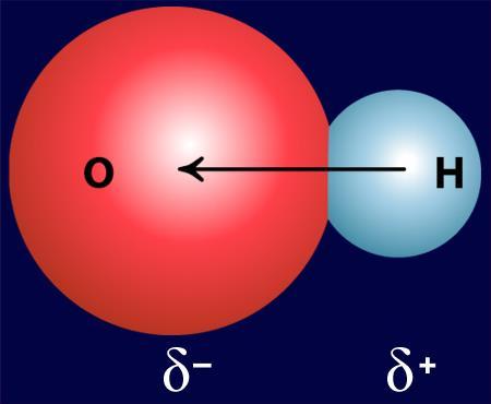 Electrons may be shared equally, but they also may be shared only slightly almost not at