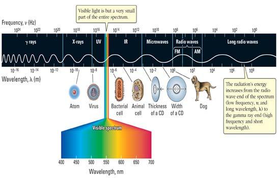 Electromagnetic spectrum the spectrum of visible light, The main colour regions of the spectrum are approximately: colour region wavelength (nm) violet 380-435 blue 435-500 cyan 500-520 green 520-565