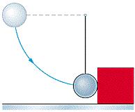 Problem 1 (11 pts) A steel ball of mass 0.5 kg is fastened to a massless cord that is 50cm long and fixed at the far end, forming a simple pendulum. The ball is released when the cord is horizontal.