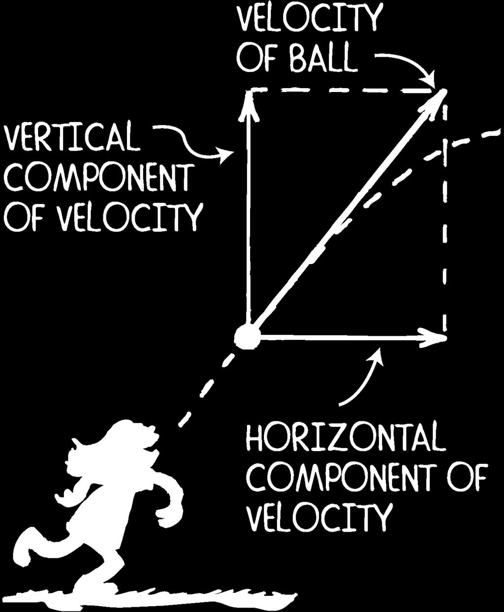 separately. ents. A vertical force (gravity) does not affect horizontal motion.