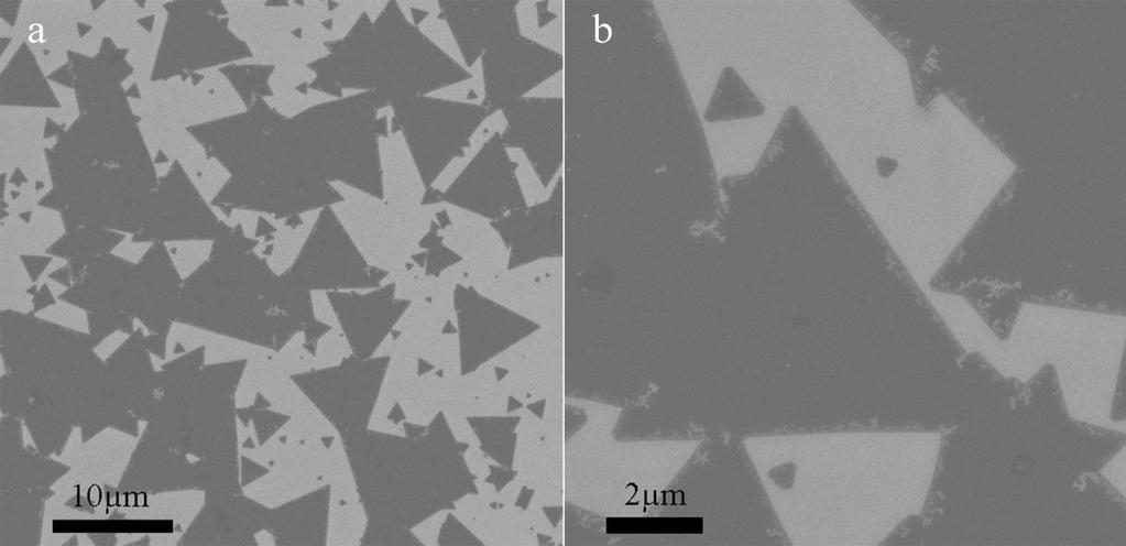 Figure S10: SEM images of MoS2 on SiO2 covered by PMMA, after