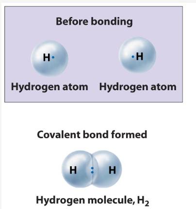 Covalent Bonds A covalent bond is a chemical bond that involves the sharing of one or more electron