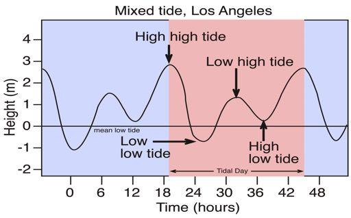 TIDES Intertidal describes the region of the