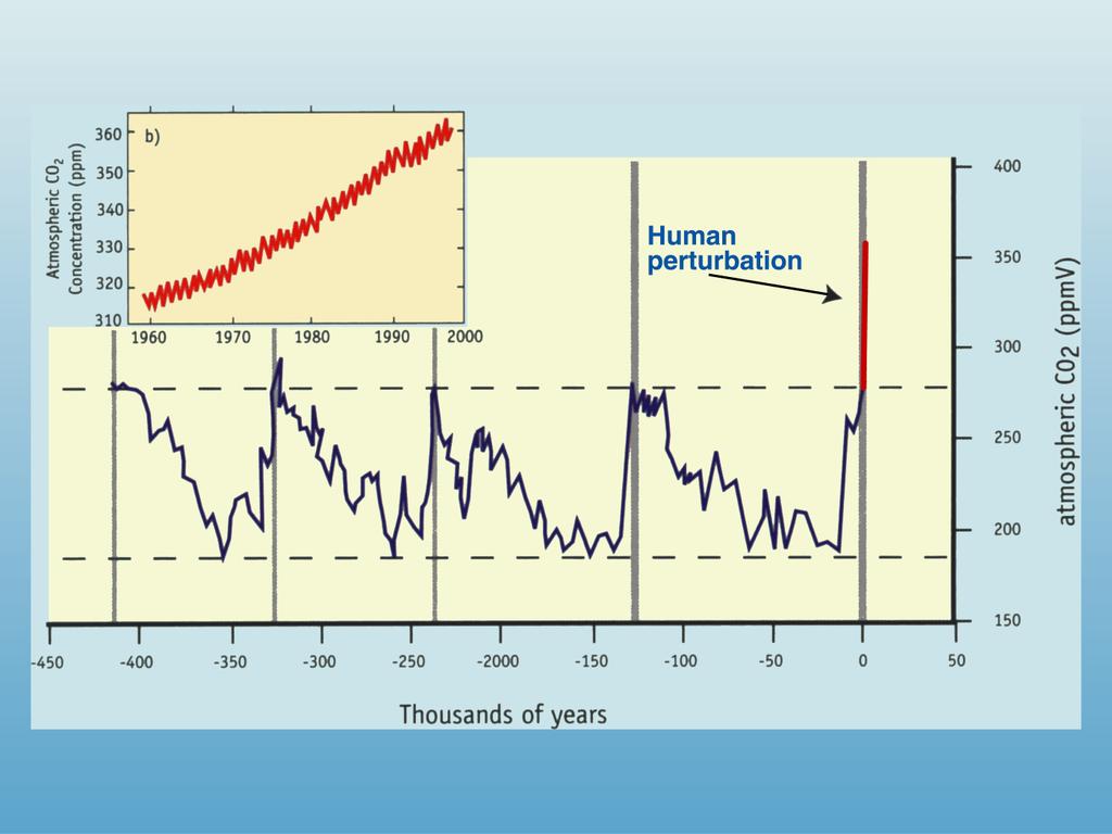 Foreshadowing: Controls on Atmospheric CO 2 Remarkable
