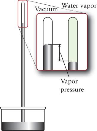 Vapor Pressure 15 The vapor pressure
