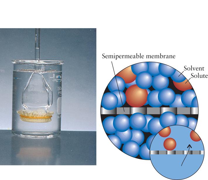 Osmosis 39 Definition: the flow of solvent through a membrane into a more concentrated solution