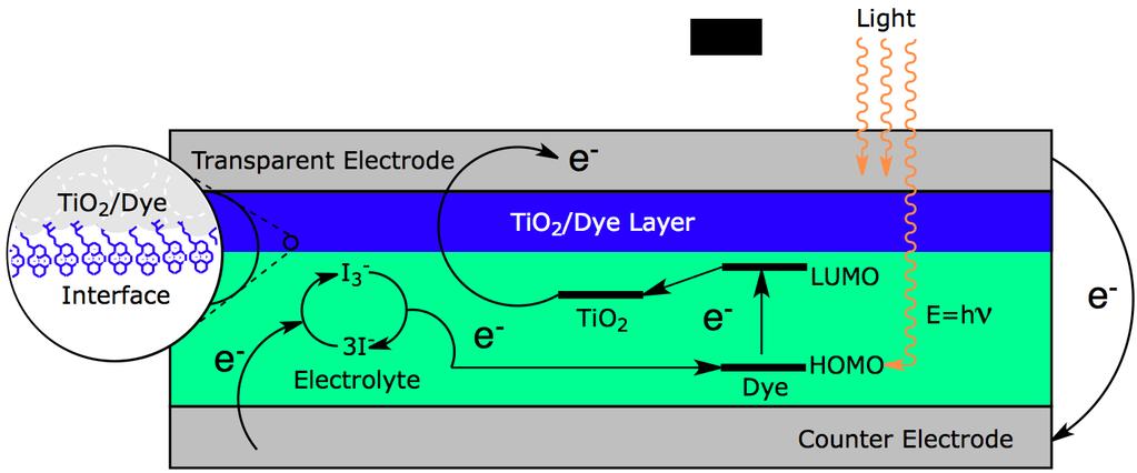 In these dye sensitized solar cells, the dye molecules absorb the light and an electron gets promoted to an excited electronic state.