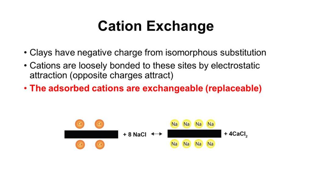 1. Furhermore, Calcium is subject to exchange reactions