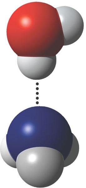 Hydrogen Bonds Weak bonds that form when the partial positive charge of a hydrogen atom in a polar covalent bond is attracted to the partial negative charge on another polar covalently bonded atom.