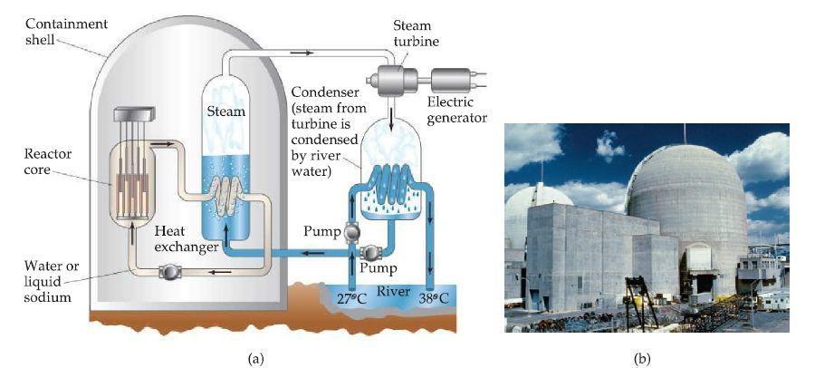 the flux of neutrons to keep the reaction chain self-sustaining, while preventing the reactor core from overheating o Steam is used to drive a