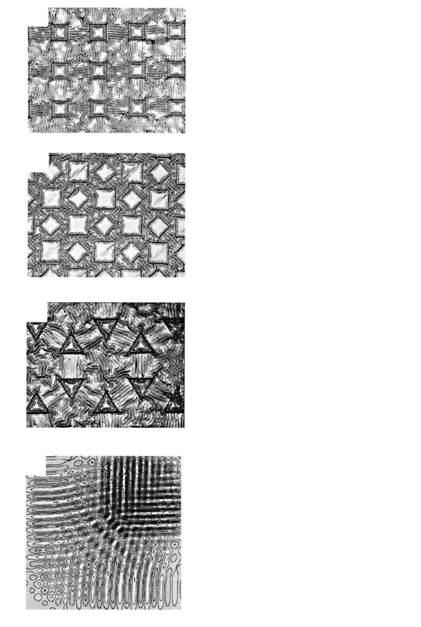 Buckles on Planar Surfaces Langmuir, Vol. 16, No.