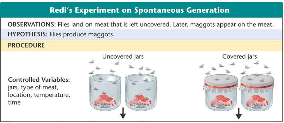 1-2 How Scientists Work Designing an Experiment Redi s Experiment Uncovered jars