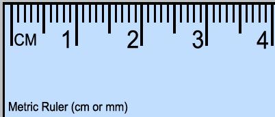 metric system is based on