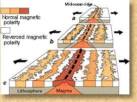 The Plate Tectonics Revolution Paleomagnetism shows that the