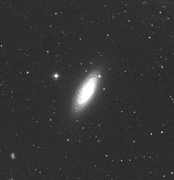 Figure 5.1: The spiral galaxy NGC 2841 and its HI 21cm radio rotation curve.