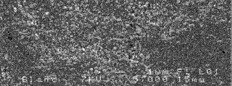 Langmuir adsorption isotherm of TCAl on the surface of zinc in 1 M H 3 PO 4 SEM measurement Scanning electron microscopy (SEM) was performed on the zinc surface before (Figure 8 (a))